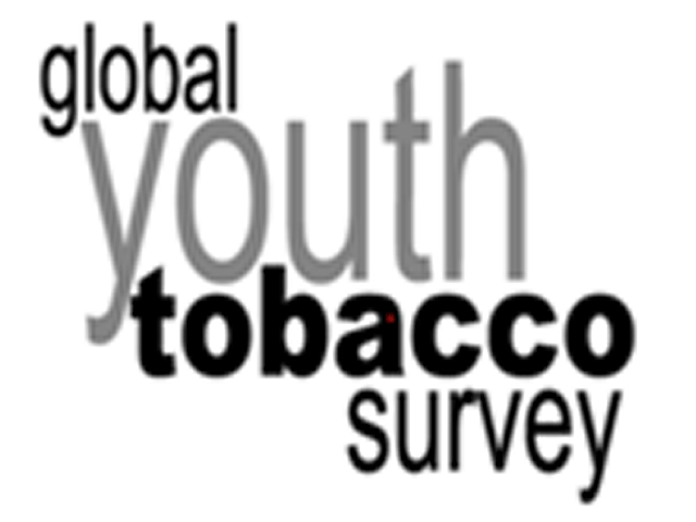 icona GYTS - Global Youth Tobacco Survey